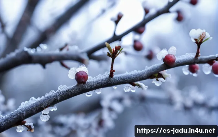 자두의 특이한 행동과 이유 관련 이미지 1